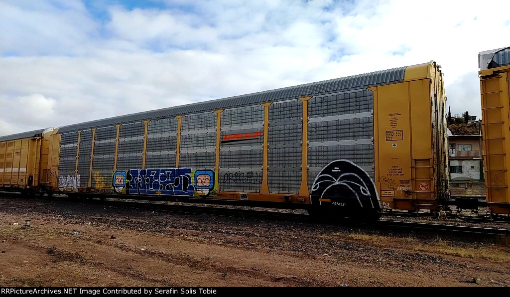 BNSF 25846 TTGX 967046